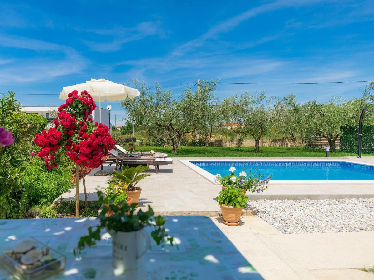 Apartment Chiara By Interhome Novigrad Istria Exteriér fotografie