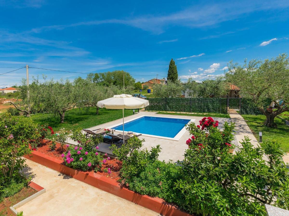 Apartment Chiara By Interhome Novigrad Istria Exteriér fotografie